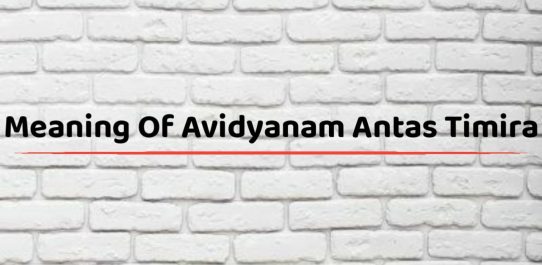 Meaning Of Avidyanam Antas Timira