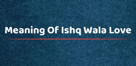 Meaning Of Ishq Wala Love
