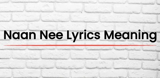 Naan Nee Lyrics Meaning