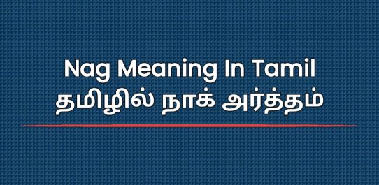 Nag Meaning In Tamil | தமிழில் நாக் அர்த்தம்