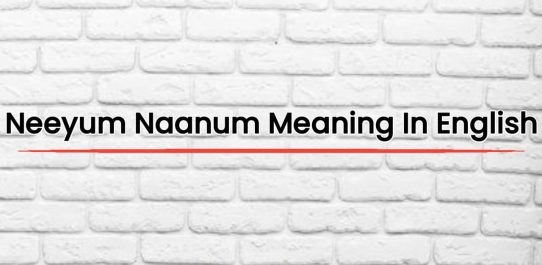 Neeyum Naanum Meaning In English