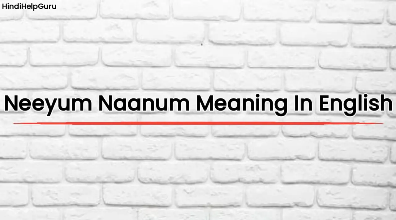 Neeyum Naanum Meaning In English