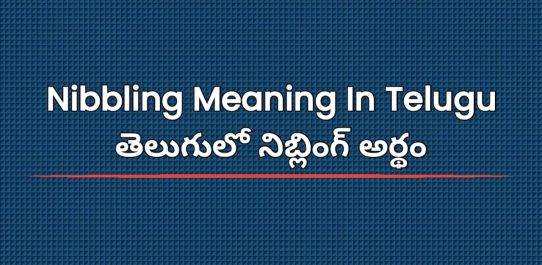 Nibbling Meaning In Telugu | తెలుగులో నిబ్లింగ్ అర్థం