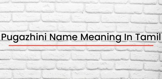 Pugazhini Name Meaning In Tamil