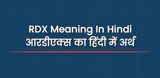 RDX Meaning In Hindi | आरडीएक्स का हिंदी में अर्थ