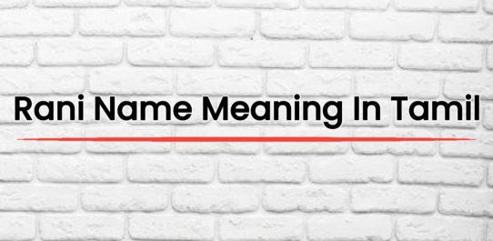 Sarcastic Meaning