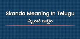 Skanda Meaning In Telugu | స్కంద అర్థం