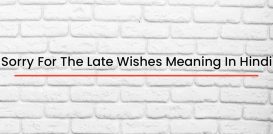 Sorry For The Late Wishes Meaning In Hindi