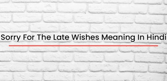 Sorry For The Late Wishes Meaning In Hindi