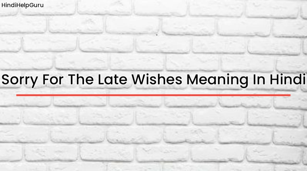 Sorry For The Late Wishes Meaning In Hindi