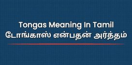 Tongas Meaning In Tamil | டோங்காஸ் என்பதன் அர்த்தம்
