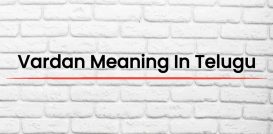 Vardan Meaning In Telugu