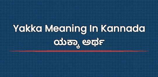 Yakka Meaning In Kannada | ಯಕ್ಕಾ ಅರ್ಥ
