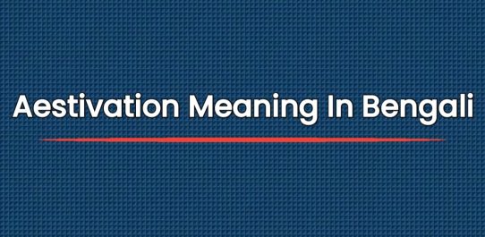 Aestivation Meaning In Bengali | অ্যাস্টিভেশন অর্থ বাংলায়