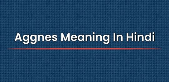 Aggnes Meaning In Hindi | एग्नेस का मतलब हिंदी में