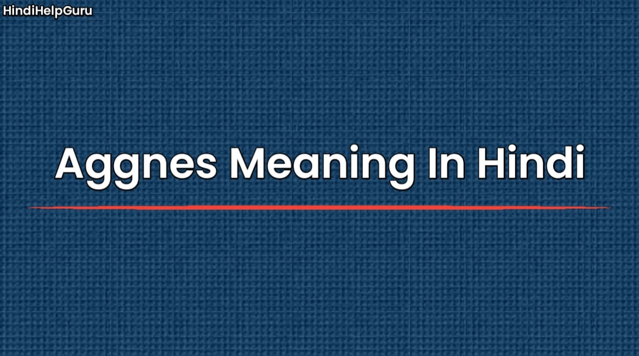 Aggnes Meaning In Hindi