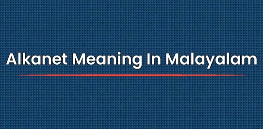 Alkanet Meaning In Malayalam | മലയാളത്തിൽ അർത്ഥം