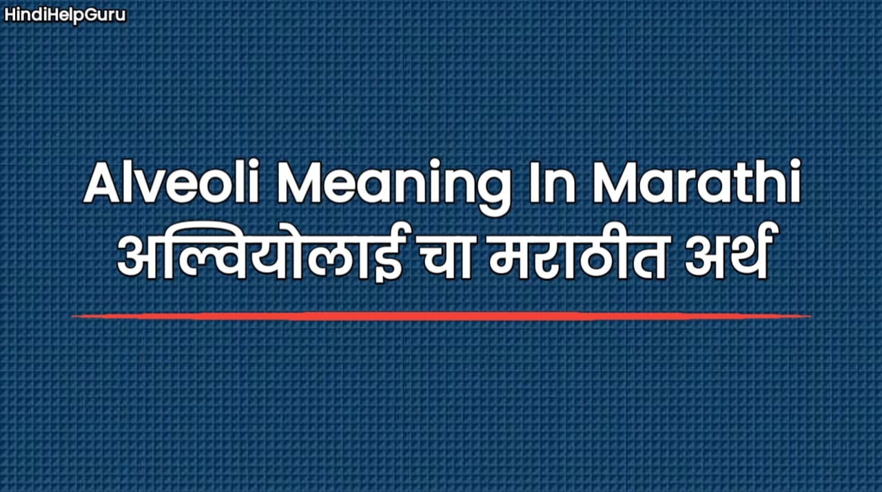 Alveoli Meaning In Marathi