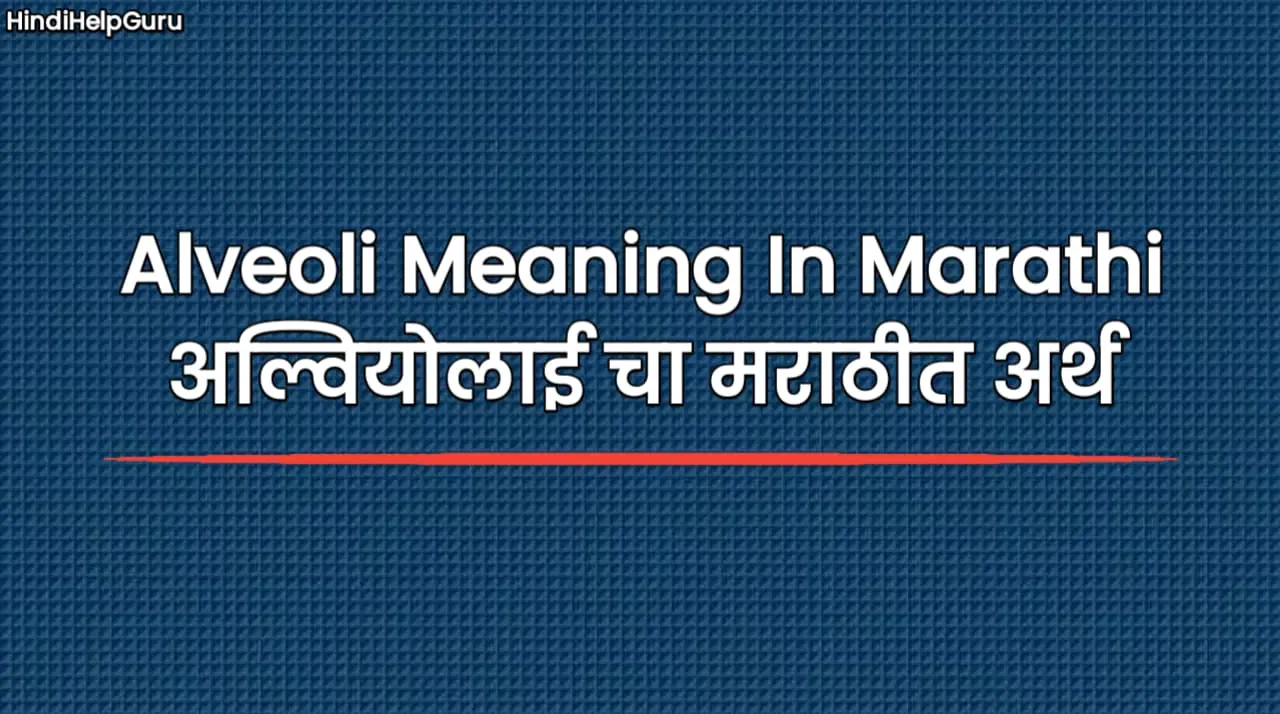 Alveoli Meaning In Marathi