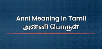 Anni Meaning In Tamil | அன்னி பொருள்
