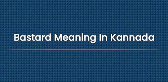 Bastard Meaning In Kannada | ಕನ್ನಡದಲ್ಲಿ ಬಾಸ್ಟರ್ಡ್ ಅರ್ಥ