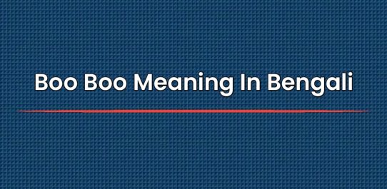 Boo Boo Meaning In Bengali | বাংলায় বু বু অর্থ