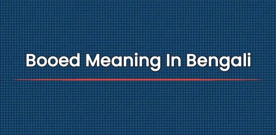 Booed Meaning In Bengali | বাংলায় অর্থ