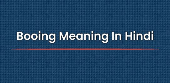Booing Meaning In Hindi | बूइंग का हिंदी में मतलब
