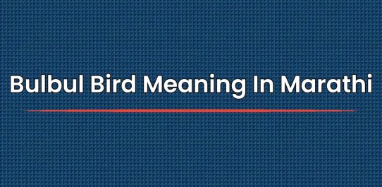 Bulbul Bird Meaning In Marathi | बुलबुल पक्षी मराठीत अर्थ