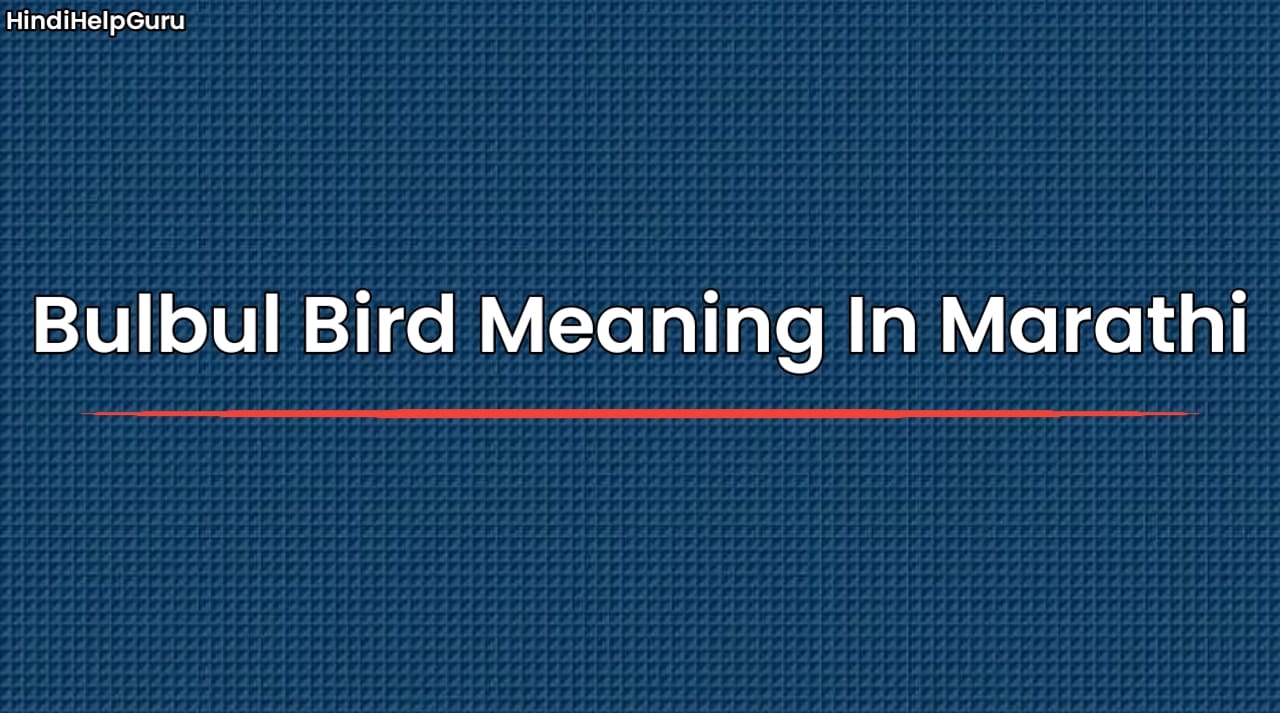 Bulbul Bird Meaning In Marathi