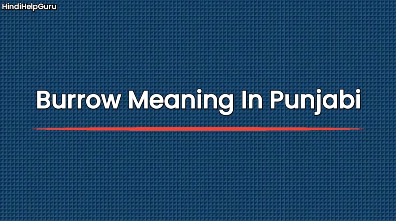 Burrow Meaning In Punjabi