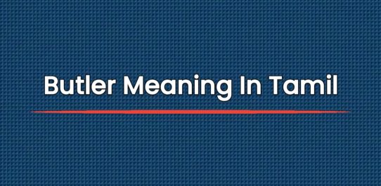 Butler Meaning In Tamil | பட்லர் பொருள்
