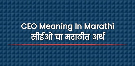 CEO Meaning In Marathi | सीईओ चा मराठीत अर्थ