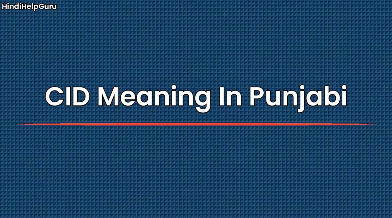 CID Meaning In Punjabi
