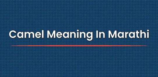 Camel Meaning In Marathi | कॅमल मराठीत अर्थ