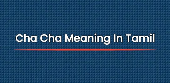 Cha Cha Meaning In Tamil | சா சா பொருள்