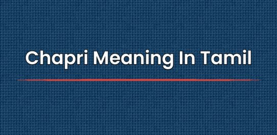 Chapri Meaning In Tamil | தமிழில் அர்த்தம்