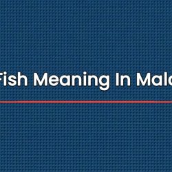 Cobia Fish Meaning In Malayalam