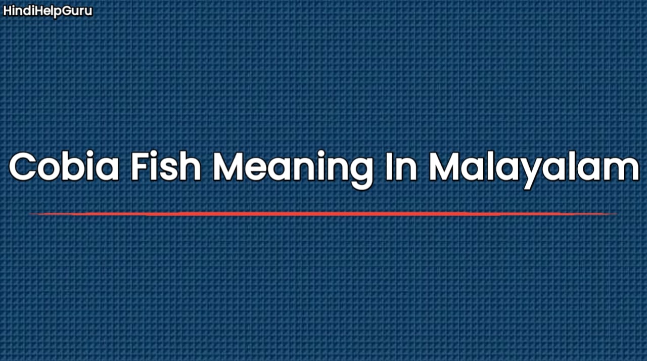 Cobia Fish Meaning In Malayalam