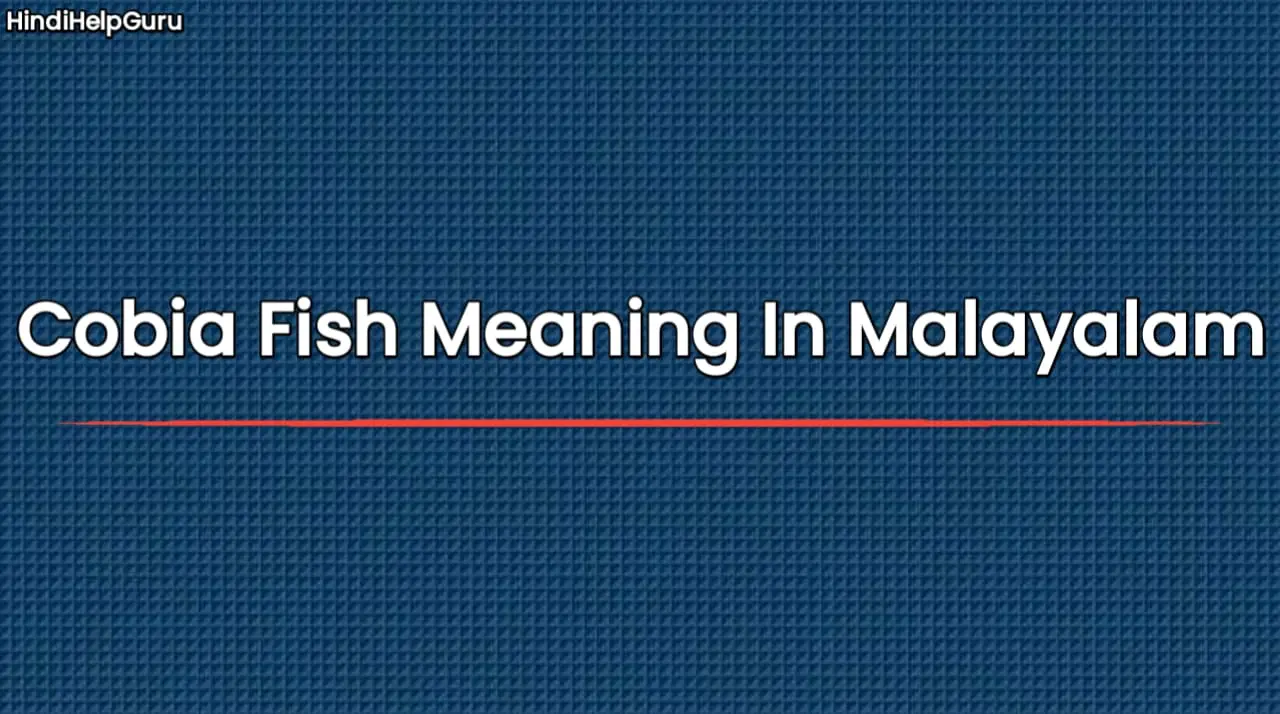 Cobia Fish Meaning In Malayalam