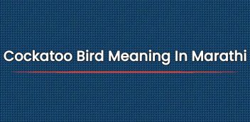 Cockatoo Bird Meaning In Marathi