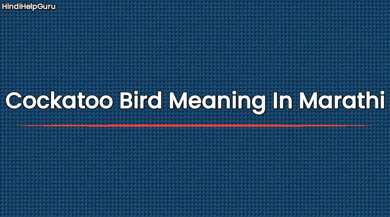 Cockatoo Bird Meaning In Marathi