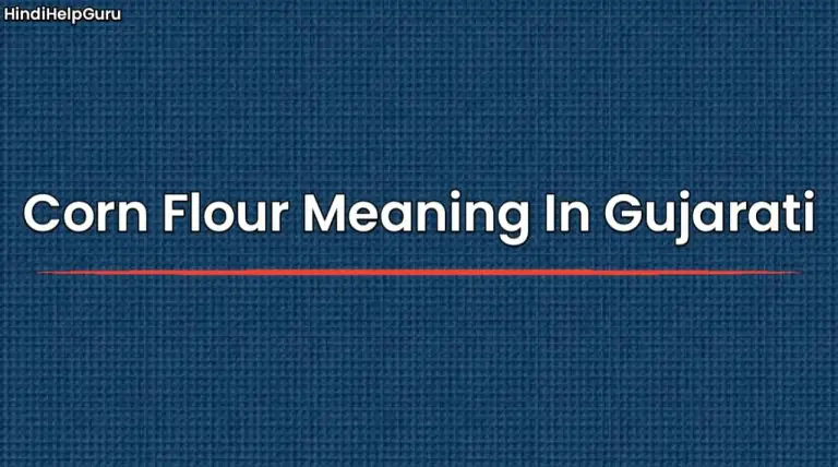 Corn Flour Meaning In Gujarati | કોર્ન ફલોર નો ગુજરાતીમાં અર્થ