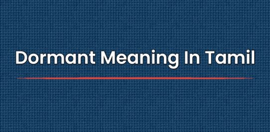 Dormant Meaning In Tamil | தமிழில் அர்த்தம்