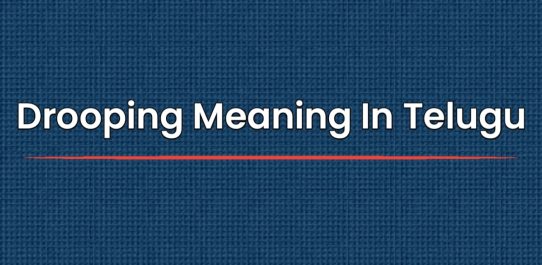 Drooping Meaning In Telugu | తెలుగులో అర్థం