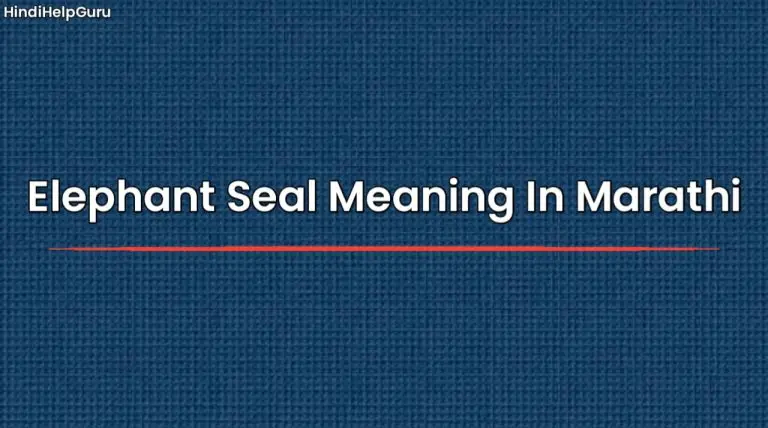 Elephant Seal Meaning In Marathi elephant-seal-meaning-in-marathi