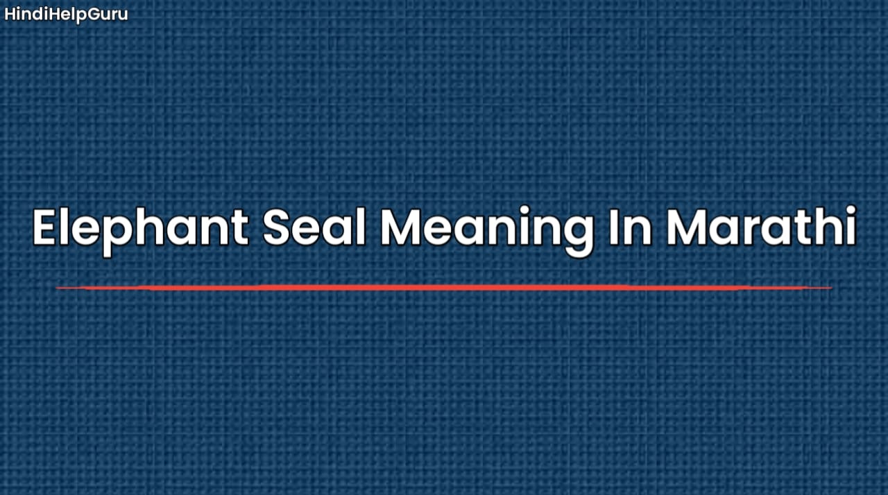 Elephant Seal Meaning In Marathi