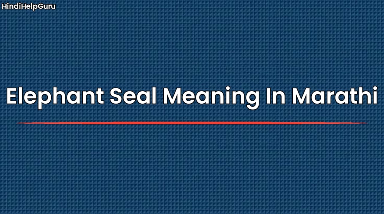 Elephant Seal Meaning In Marathi