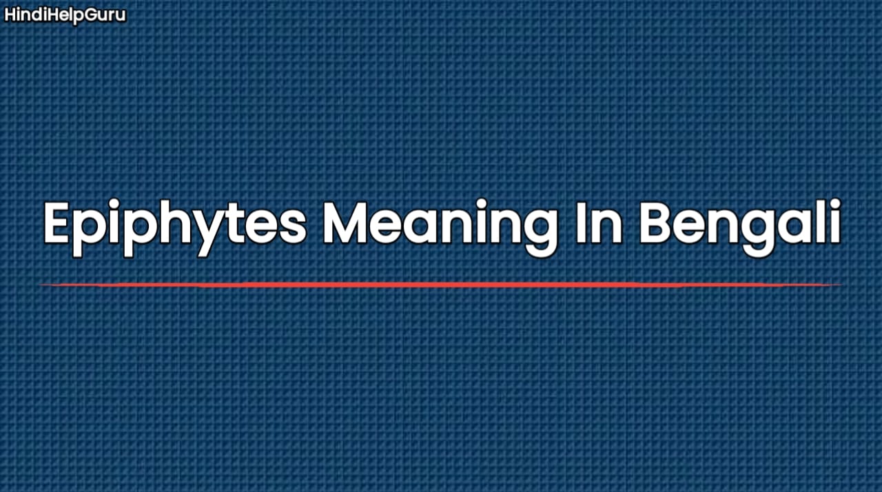 Epiphytes Meaning In Bengali