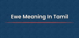 Ewe Meaning In Tamil | தமிழில் அர்த்தம்